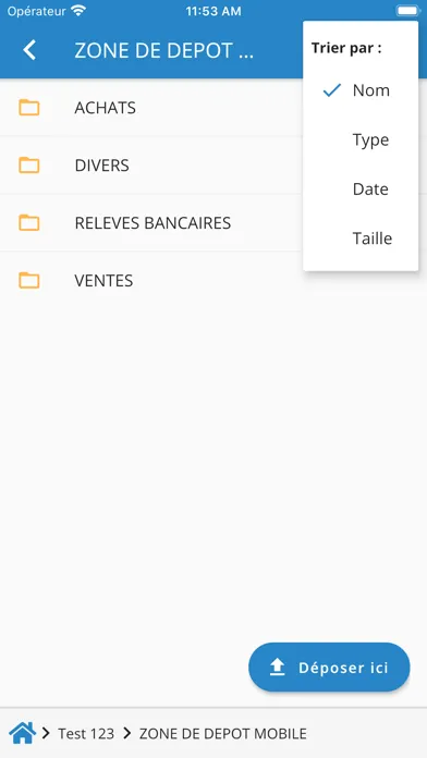 Capturas de pantalla de Audit CPA