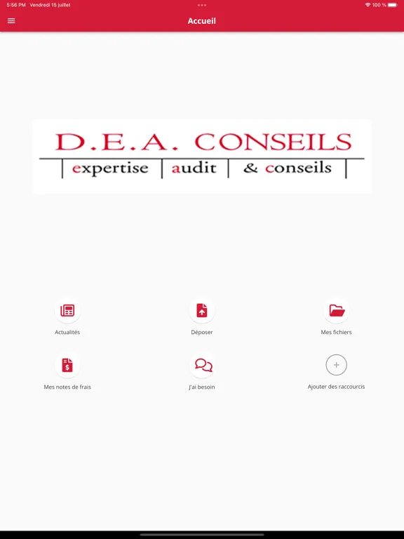 DEA CONSEILS iPad  سکرین شاٹس