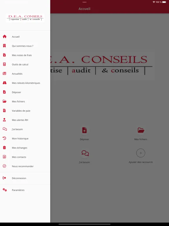 DEA CONSEILS iPad  سکرین شاٹس