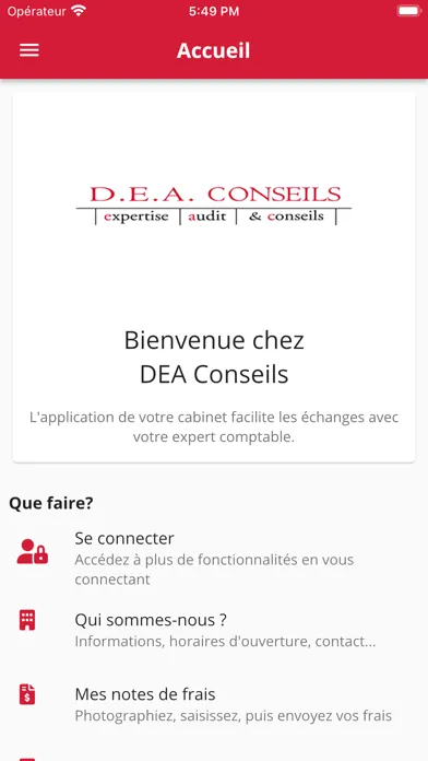 DEA CONSEILS سکرین شاٹس
