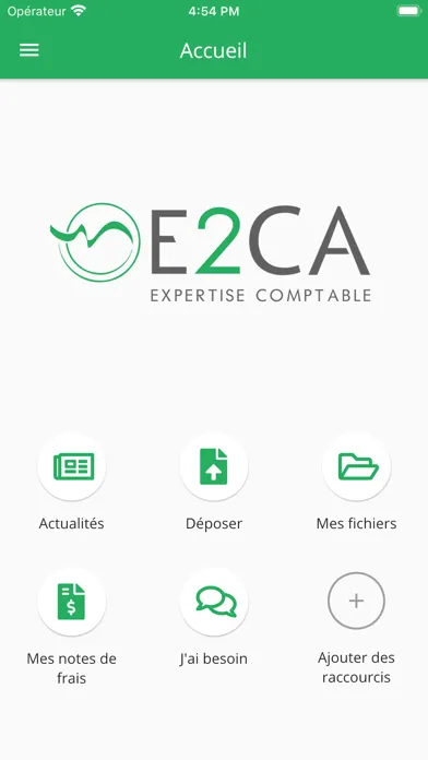 Capturas de pantalla de E2CA Expert-comptable
