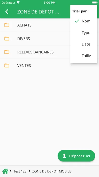 Capturas de pantalla de E2CA Expert-comptable