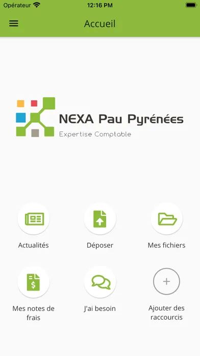 Tangkapan layar Nexa Pau Pyrénées