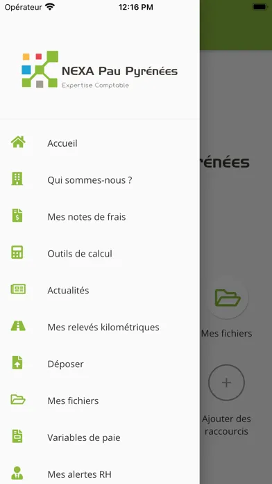 Tangkapan layar Nexa Pau Pyrénées