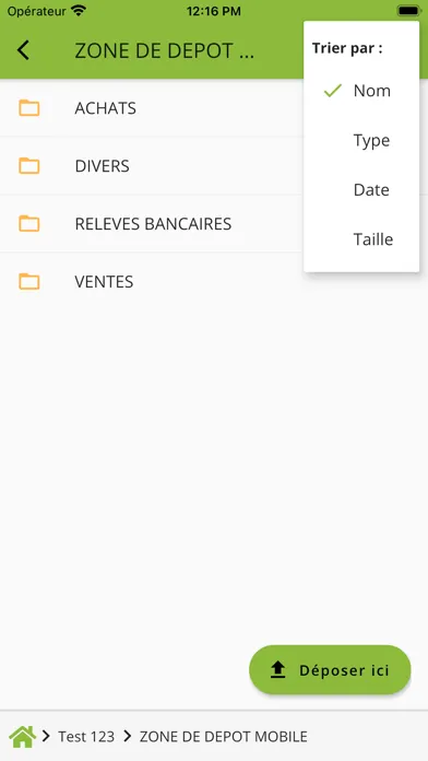 Tangkapan layar Nexa Pau Pyrénées