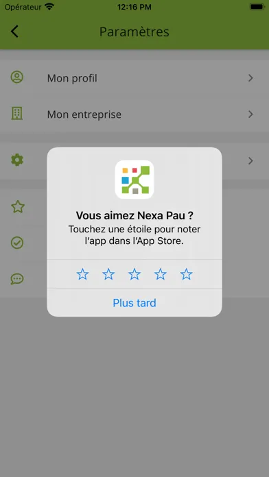 Tangkapan layar Nexa Pau Pyrénées