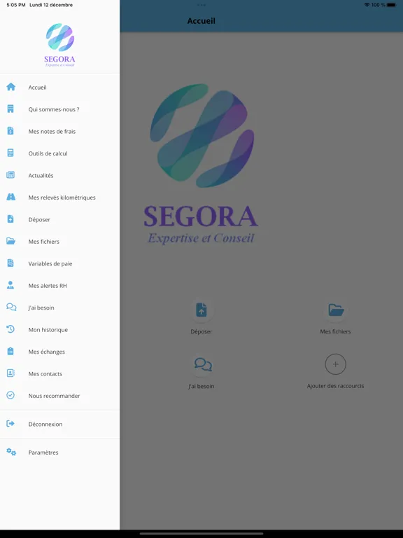 Tangkapan skrin Segora Expertise et Conseil iPad 
