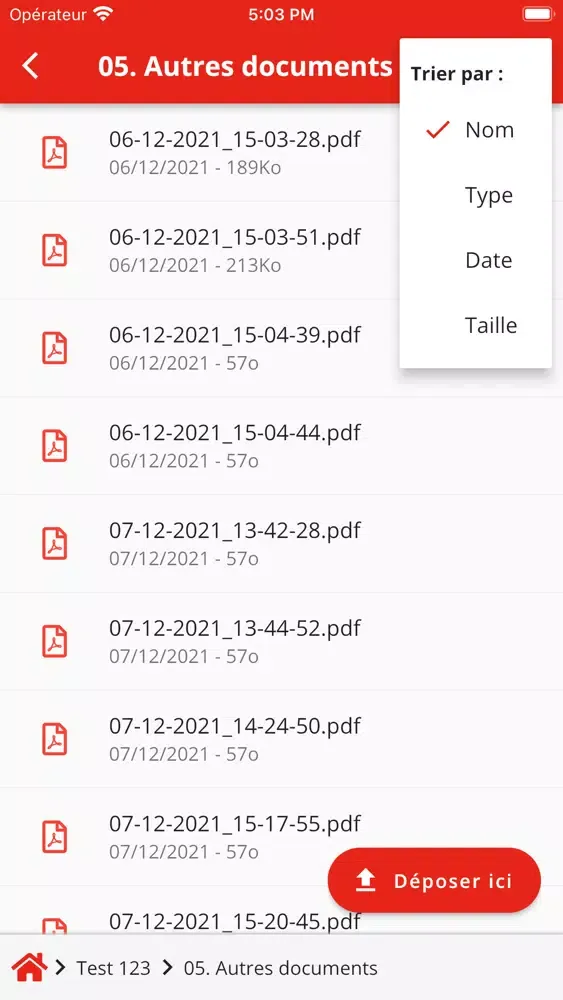 Ảnh chụp màn hình của COGEBS CEE