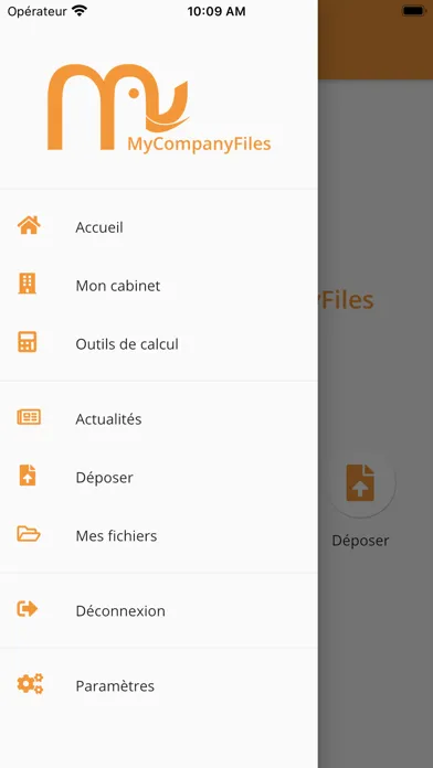 Captures d'écran de MyCompanyFiles