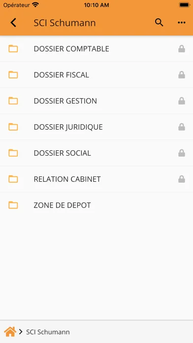 Captures d'écran de MyCompanyFiles