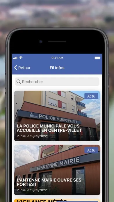 Capturas de pantalla de Saint-Fargeau-Ponthierry