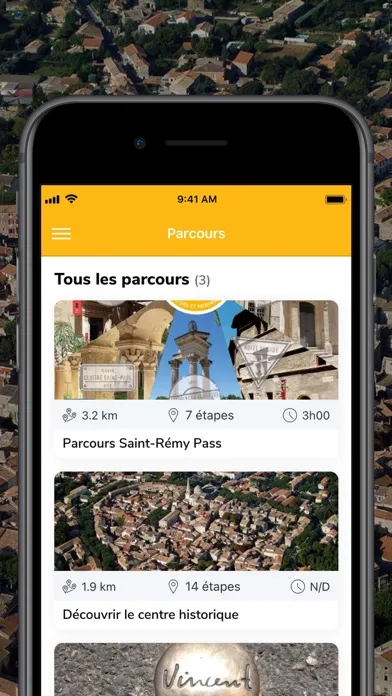 Скриншоты Ville Saint-Rémy-de-Provence