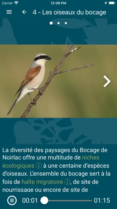 تصاویر Escapades nature