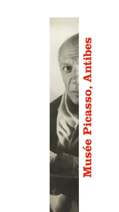 Picasso Antibes Ekran Görüntüleri