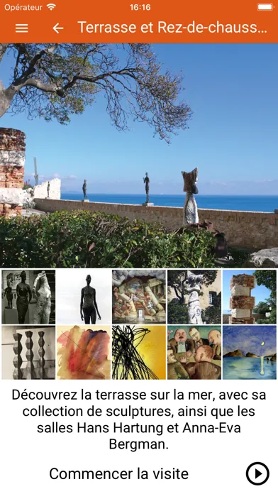 Picasso Antibes Ekran Görüntüleri