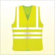 Mouvement des Gilets jaunes