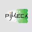 Pi Meca