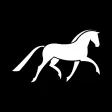Amelia's Dressage Academy Amelia's Dressage Academy