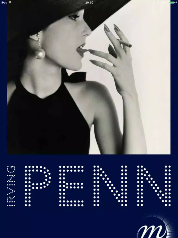 Irving Penn iPad 应用截图