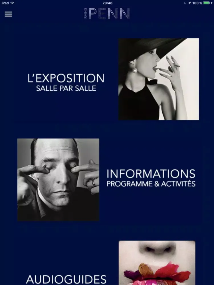 Irving Penn iPad 应用截图