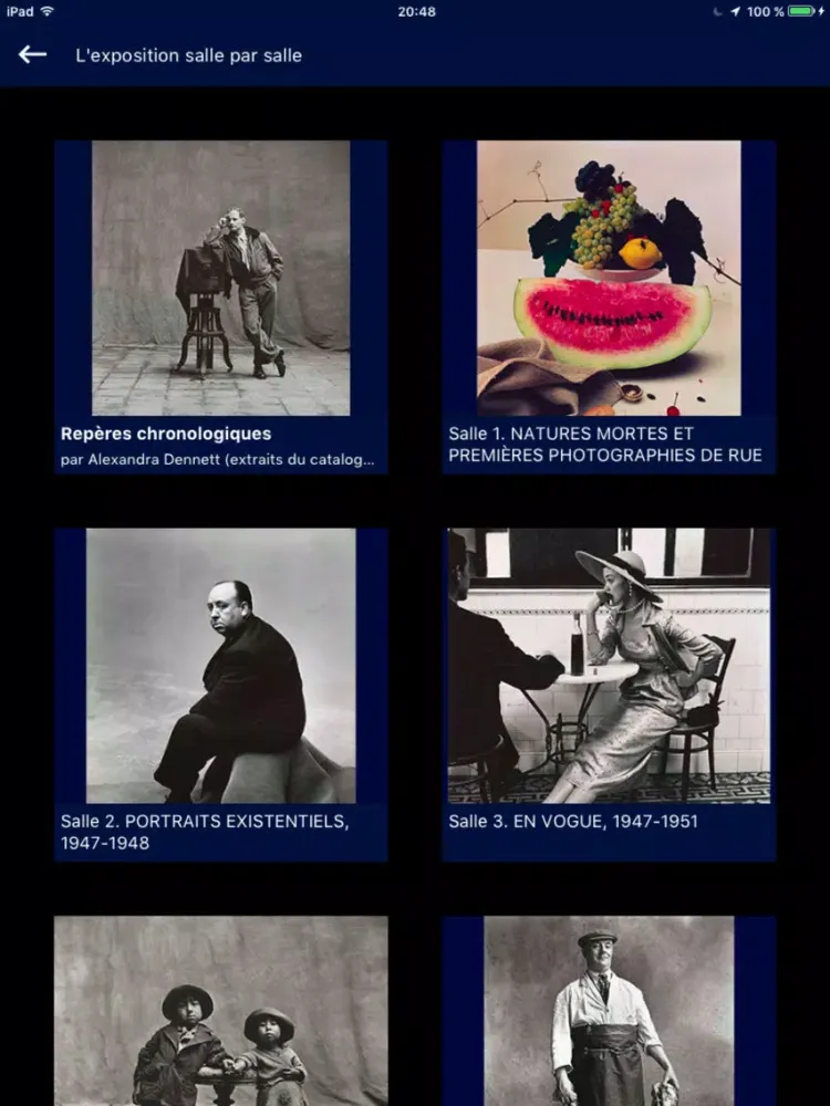 Irving Penn iPad 应用截图
