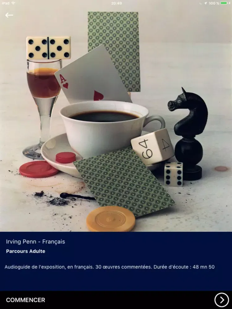 Irving Penn iPad 应用截图