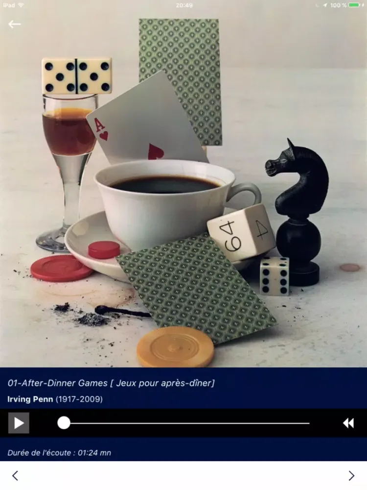 Irving Penn iPad 应用截图