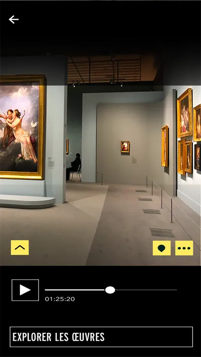 Musée du Luxembourg-Sénat স্ক্রিনশট