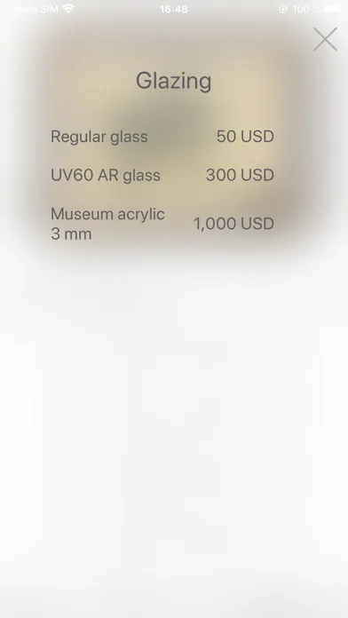 Virtual Framer Screenshots