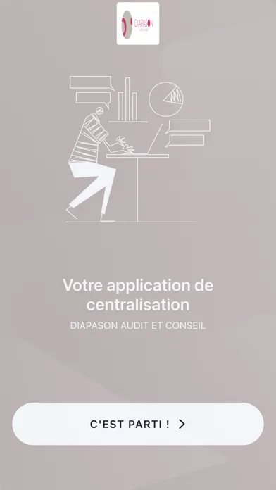 DIAPASON AUDIT ET CONSEIL Screenshots