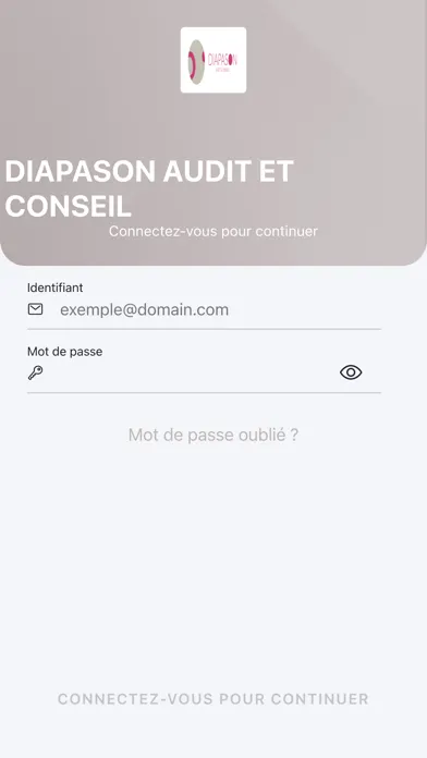 DIAPASON AUDIT ET CONSEIL Screenshots