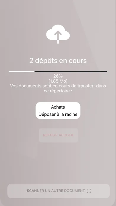 DIAPASON AUDIT ET CONSEIL Screenshots