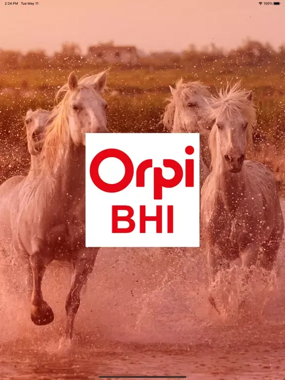 Скриншоты Orpi Groupe BHI iPad 