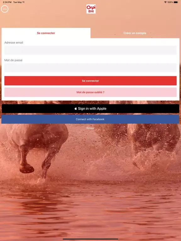 Скриншоты Orpi Groupe BHI iPad 