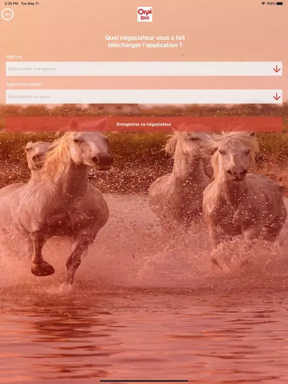 Скриншоты Orpi Groupe BHI iPad 