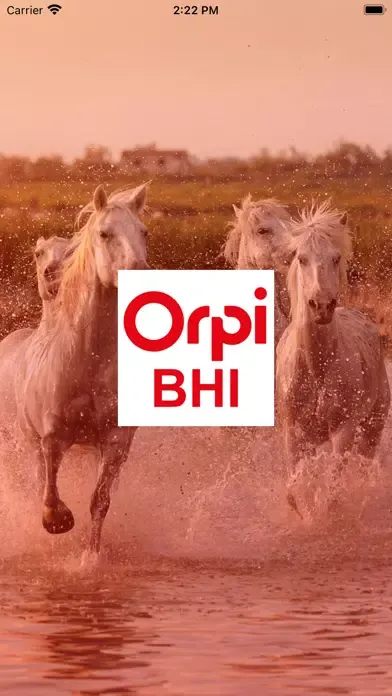 Скриншоты Orpi Groupe BHI