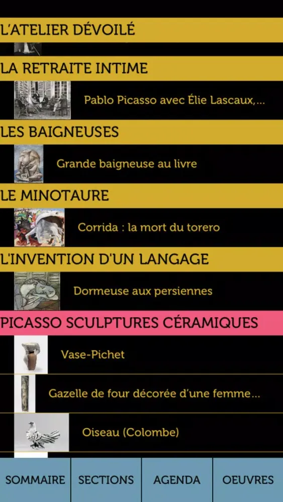 صور Saison Picasso