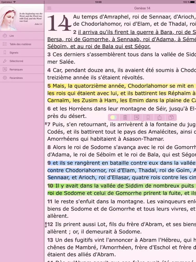 La Bible Catholique pour la Femme. The Catholic Audio Women´s Bible in French iPad  স্ক্রিনশট