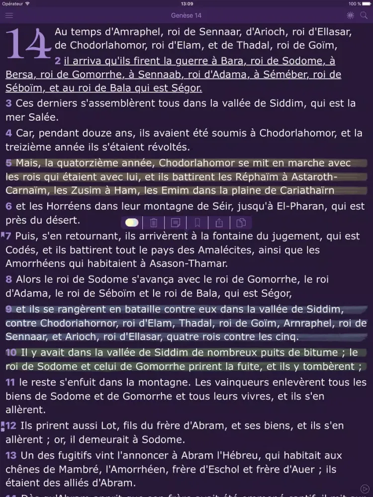 La Bible Catholique pour la Femme. The Catholic Audio Women´s Bible in French iPad  স্ক্রিনশট