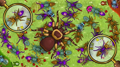 Ant Hunt سکرین شاٹس