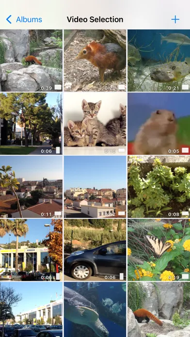 ภาพหน้าจอของ PureClip Photo