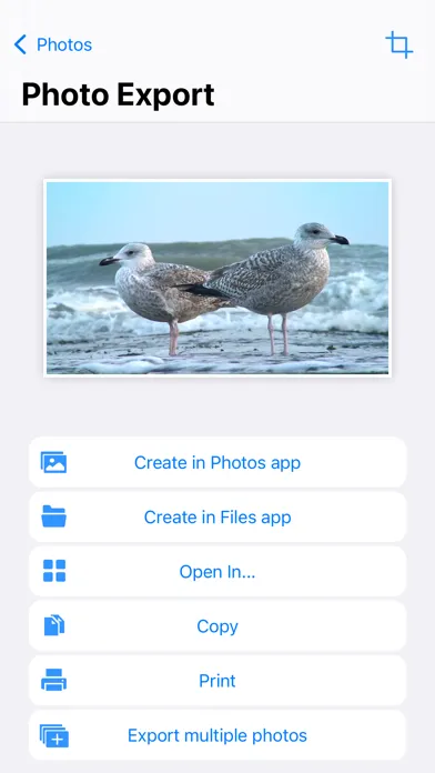 ภาพหน้าจอของ PureClip Photo