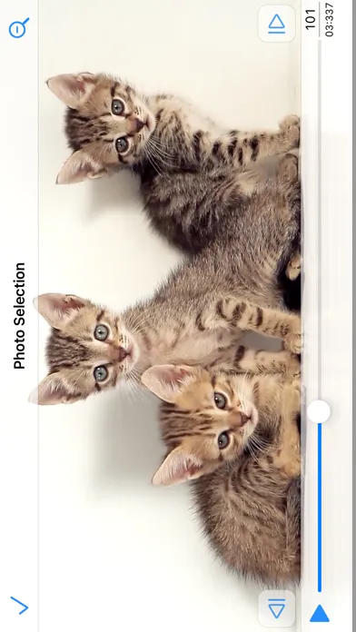 ภาพหน้าจอของ PureClip Photo