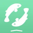 Horoscope Widget