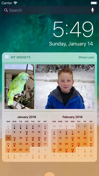 Zrzuty ekranu My Widgets
