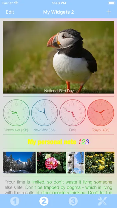 Zrzuty ekranu My Widgets