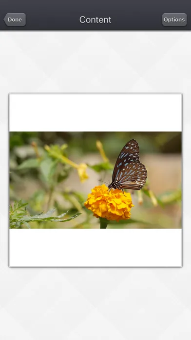 Screenshot di Video Resize & Scale - HD