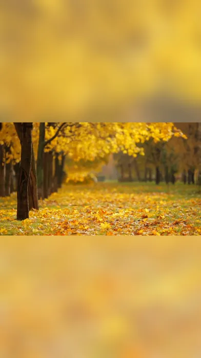 Screenshot di Video Resize & Scale - HD