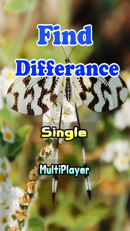 Find Difference Between Two Pictures Free Game Screenshots
