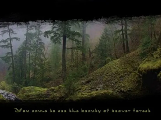 صور Beaver Forest Escape - a boy escape game iPad 